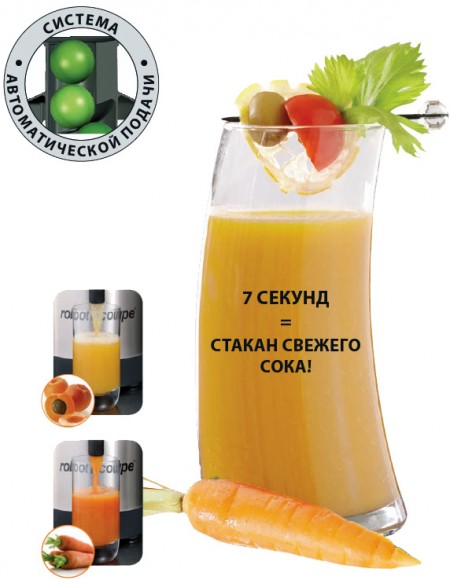 Соковыжималка Robot Coupe J100
